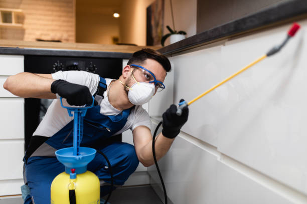 Best Flea Control Services  in Fountain, CO