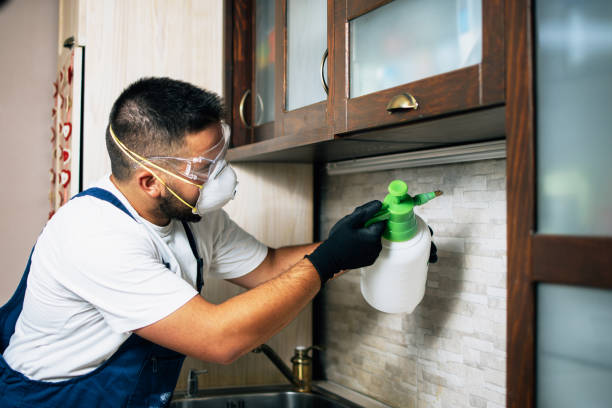 Pest Prevention Services in Fountain, CO