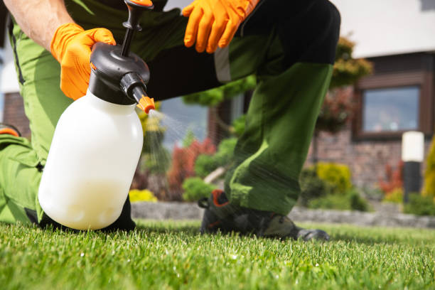 Best Pest Control for Homes  in Fountain, CO