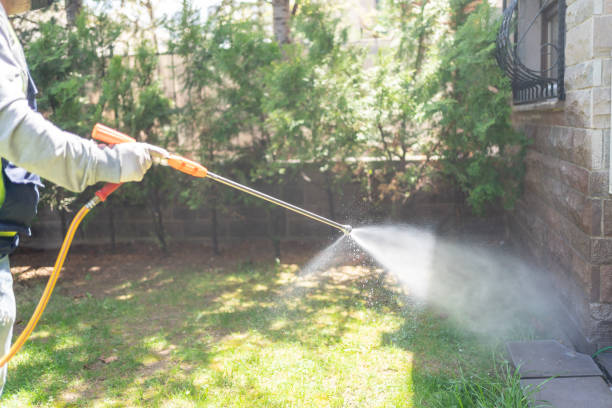Best Commercial Pest Control Services  in Fountain, CO