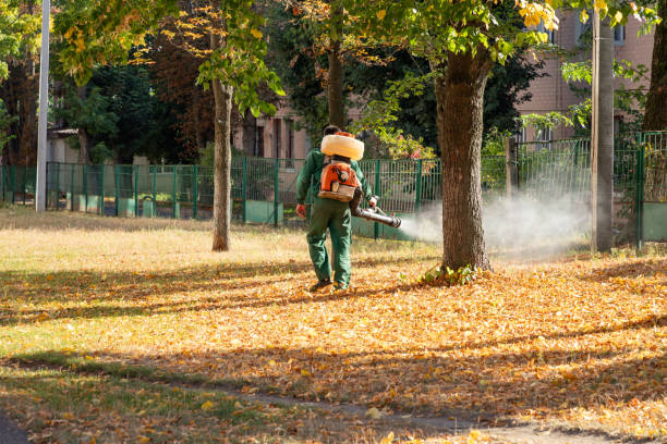 Best Best Pest Control Companies  in Fountain, CO
