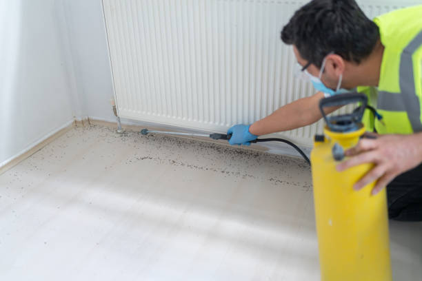 Best Pest Inspection Near Me  in Fountain, CO