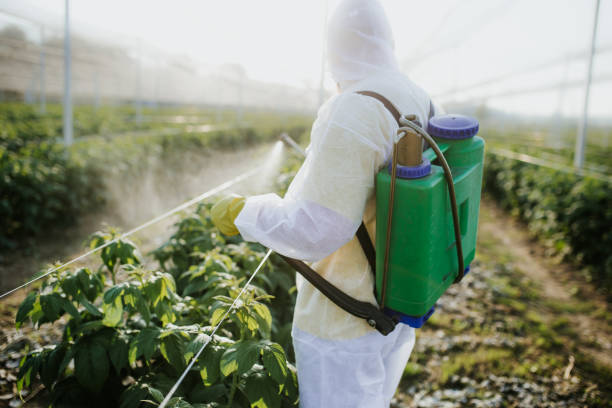 Best Affordable Pest Control Services  in Fountain, CO